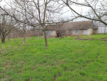 kiraye ev zabrat 1: 30 sot, Tikinti, Mülkiyyətçi, Kupça (Çıxarış)
