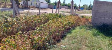 Продажа домов: Дом, 1 м², 2 комнаты, Собственник — 7