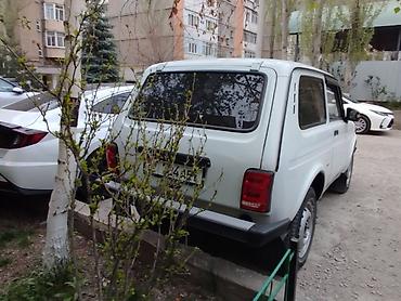 нива зеркало: ВАЗ (ЛАДА) 4x4 Нива: 2012 г., Внедорожник — 1