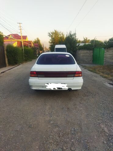 авто из кореи в наличии в бишкеке: Nissan Cefiro: 1997 г., 2 л, Автоматические, Бензин, Седан