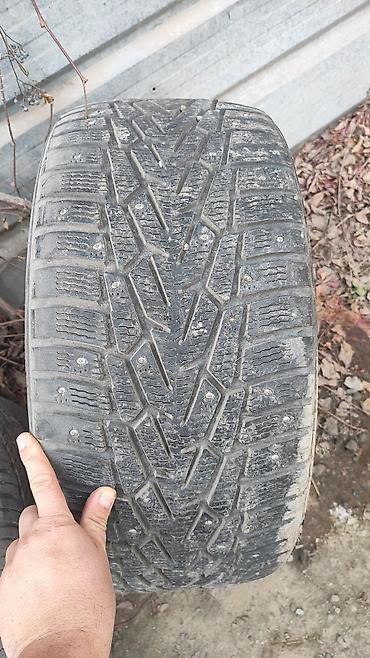 зимние: 255/40r19 одна шина зимняя nokian hakapellita. при желании шипы можно — 1