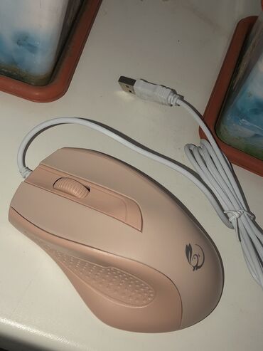 Компьютерные мышки: Мышка для компьютера/ноутбука новая персикого цвета светится