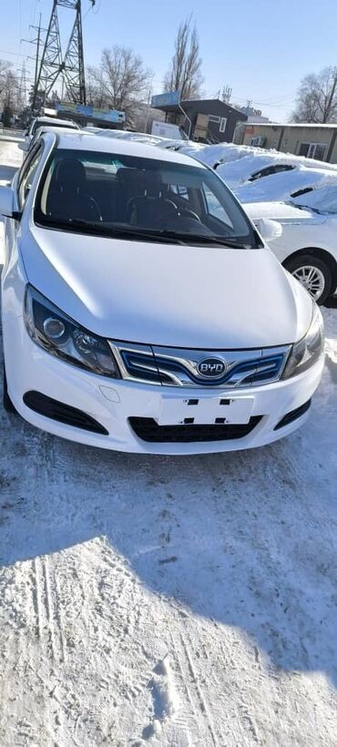 BYD: BYD : 2019 г., 0.1 л, Робот, Электромобиль, Седан