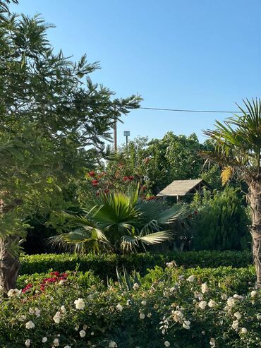 Bağ evlərinin kirayəsi: 100 kv. m, 2 otaqlı, Hovuzsuz — 19