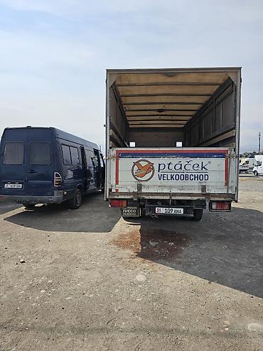трактор дыты: Iveco Daily: 2005 г., 3 л, Механика, Дизель, Фургон — 6