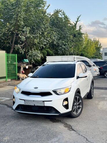 Ssangyong: Kia Stonic: 2019 г., Бензин, Кроссовер