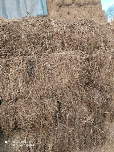 Корма для с/х животных: Сено в тюках - Прессованные прямоугольные тюки, перевязанные — 9
