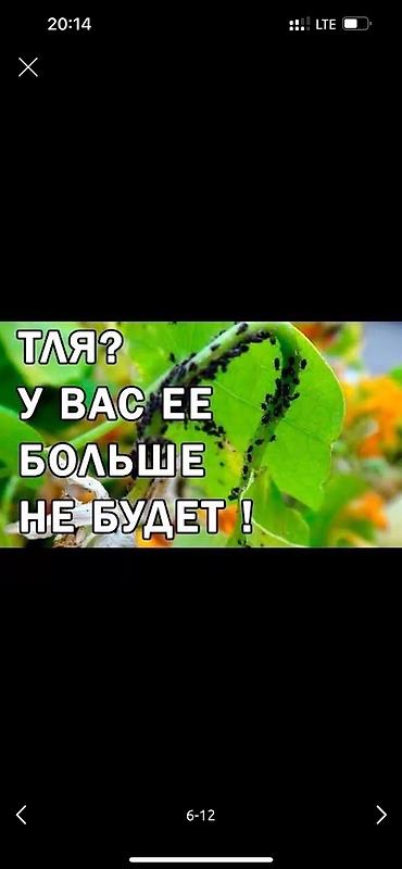 Дворники, садовники: 🌱Я садовник обработка сада ранее весенней обработка плодовых — 7