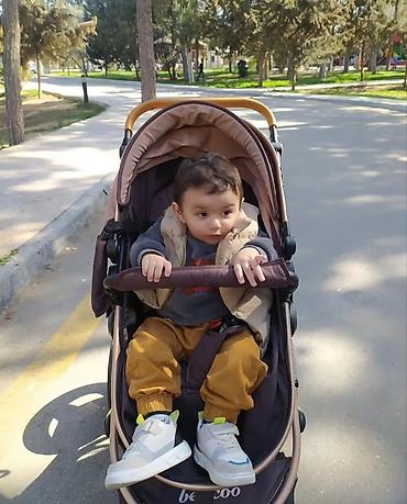 купить коляску анекс бу: Az istifadə olunub. sadəcə alt hissəsində yük qoymaq üçün olan hissə — 1