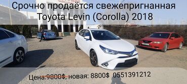 таета джип: Toyota Corolla: 2018 г., 1.8 л, Вариатор, Гибрид, Седан