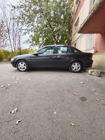 Opel: Opel Vectra: 2.5 l | 1997 il Sedan — 9