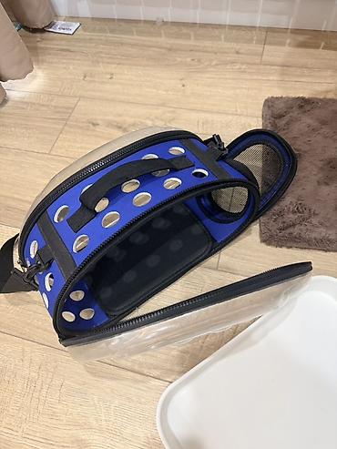 Зоотовары: Набор для кошки/котёнка(б/у) В комплект входит: - Когтеточка-столб с — 8