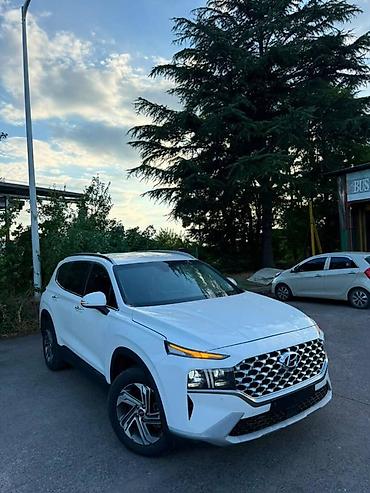 накладка на фит: Hyundai Santa Fe: 2023 г., 2 л, Вариатор, Бензин, Кроссовер — 1
