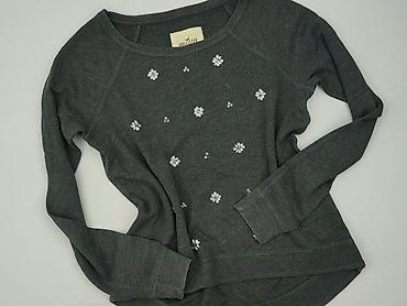 care bears: Hollister, Bluza damska
, rozmiar M — 1
