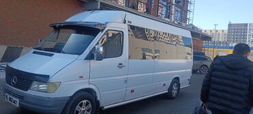 свадебная машина: Кашка-Суу Бус, Автобус, Такси, жеңил унаа | 20 орундук