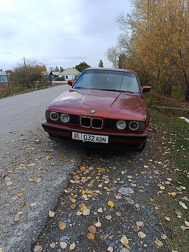 BMW: BMW 5 series: 1993 г., 2.5 л, Механика, Бензин, Седан — 2