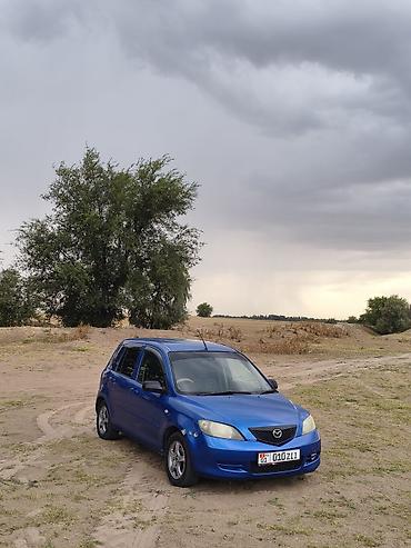 Mazda Demio: 2002 г., 1.3 л, Автомат, Бензин, Хэтчбэк