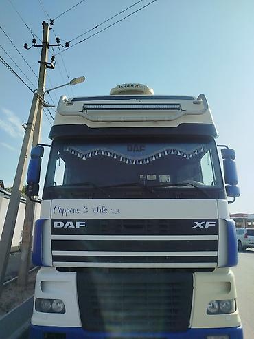 rota grid: Тягач, DAF, Без прицепа — 1