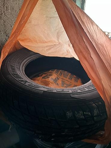 авто диск: Шины 265 / 65 / R 17, Зима, Б/у, 1 шт, Внедорожные (АТ/МТ), Sailun — 2