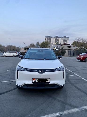 byd pro: Weltmeister W6, 2022 г., 81000 км, Передний, В наличии — 1