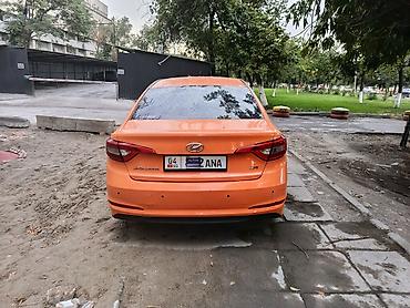 sonata lpi: Hyundai Sonata: 2019 г., 2 л, Газ, Седан — 2