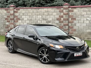 тойота эчо: Toyota Camry: 2020 г., 2.5 л, Автомат, Бензин, Седан