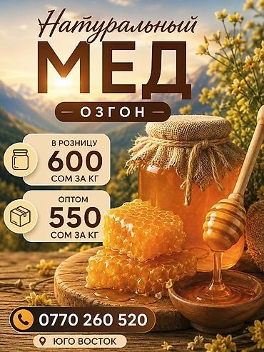 кара шыбак: Натуральный мед Узгенский — 1