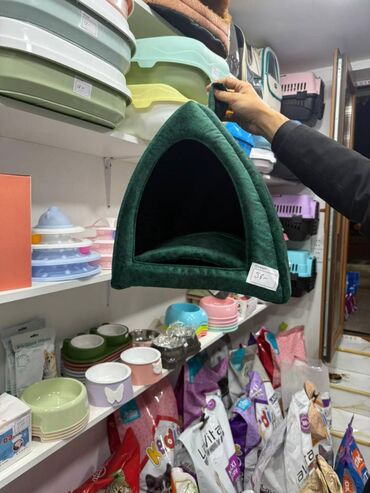 pişik cütleşdirme: Pet Life.az balaca dostlarınız üçün lazım olan hər şeyi daha münasib