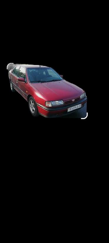 Nissan Primera: 1995 г., 2 л, Механика, Бензин, Седан