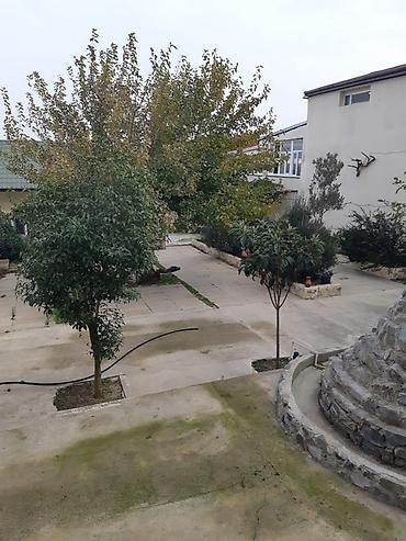 İcarəyə restoran və kafelər: “Karvan Restoran” – restoran obyekti - Fəaliyyət sahəsi: ictimai — 7