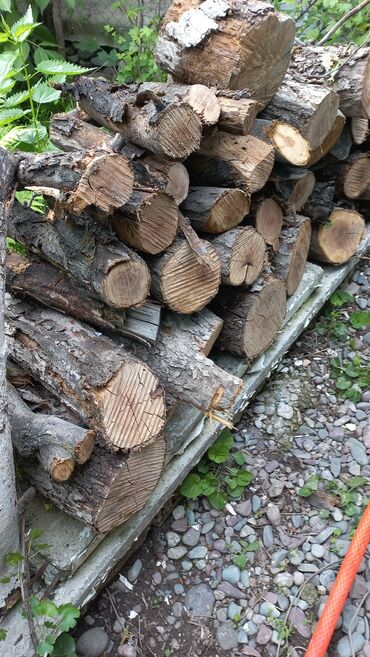 дрова для печки: Дрова Самовывоз