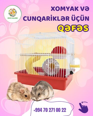 Akvarium aksessuar və ləvazimatları: Xamyak və cunqarik qəfəsi. N156 Xomyak ve cunqarikleriniz üçün maraqlı