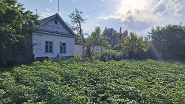 дом с бильярдом на сутки: Үй, 68 кв. м, 4 бөлмө, Менчик ээси, Косметикалык оңдоо