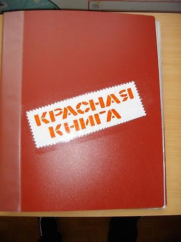 Сейф китептер: Продается дом в селе Сокулук верх от трассы не далеко от центра. в — 1