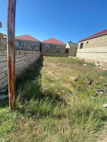 kupcali ev: Tikinti, Kupça (Çıxarış) — 5