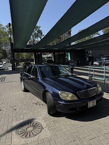 мерс 2001: Mercedes-Benz S-Class: 2001 г., 3.2 л, Автомат, Бензин, Седан — 2