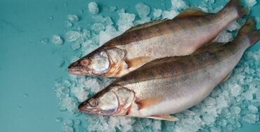 Рыба и морепродукты: Свежий — 5