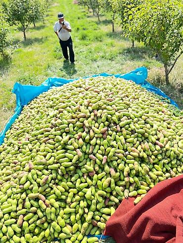 Продажа участков: Для бизнеса, Красная книга at lalafo.kg — 12 Продажа участков: Для бизнеса, Красная книга — 12