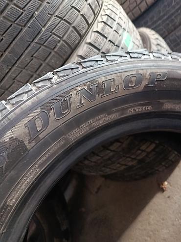 295 30 20: Шины 225 / 60 / R 17, Зима, Б/у, 1 шт, Внедорожные (АТ/МТ), Япония, Dunlop — 3