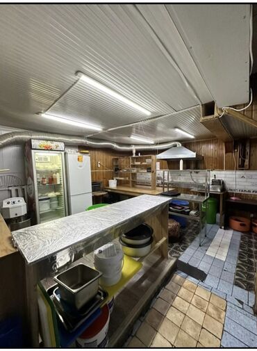 Рестораны, кафе: Мира-Ахунбаева, 1 линия. Входная группа. Красная книга. Общая площадь — 4