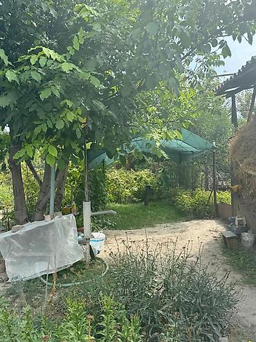 земельный участок и дом: Продаётся частный дом с большим двором и участком для сада/огорода — 5
