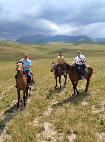 Туристические услуги: Конный Туризм Прокат лошадей обучения верховой езде организация — 7