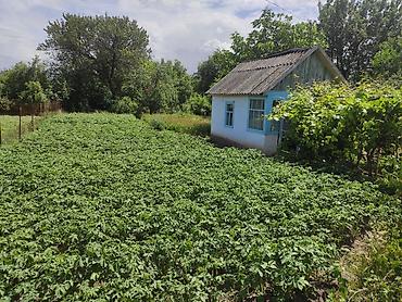 домик контенер: Дачный участок с домиком и плодородным огородом - Участок: ровный — 1