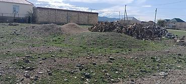 ucuz evlər 2026: 6 sot, Kupça (Çıxarış) — 2