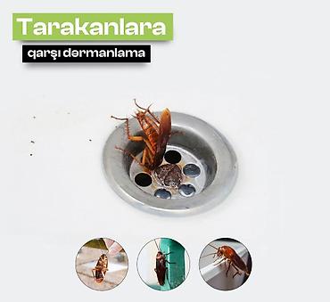 Dezinfeksiya, dezinseksiya: Dezinfeksiya, dezinseksiya | Tarakanlar, Ağacları çiləmə, Taxtabiti | Ofislər, Mənzillər, Evlər — 5