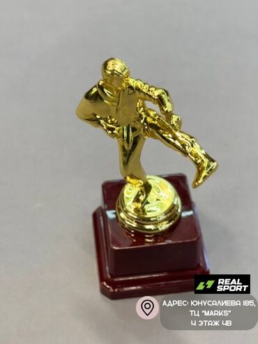 Другое для спорта и отдыха: Кубки, статуэтки, номинации. Золотые кубки, статуэтки, номинации, а — 8