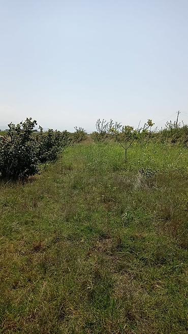 bilgeh ev satilir: 14 sot, Tikinti, Mülkiyyətçi, Kupça (Çıxarış) — 2