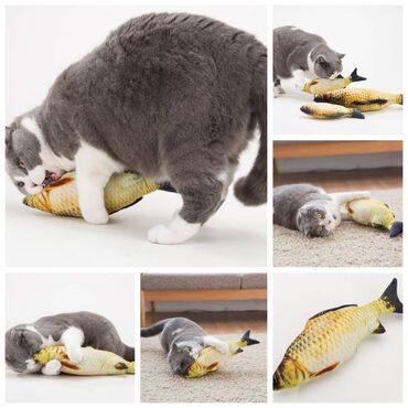 Другие животные: Устали от шерсти дома.Новые автоматизированные пуходерки(паровые — 13