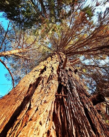 Kuće na prodaju: 145 kv. m, 4 sobe — 27