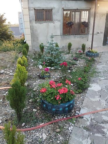 digah ev: Günlük ev verilir. gözəl mənzərəli meşənin yanında yerləşir. Qusarın — 2